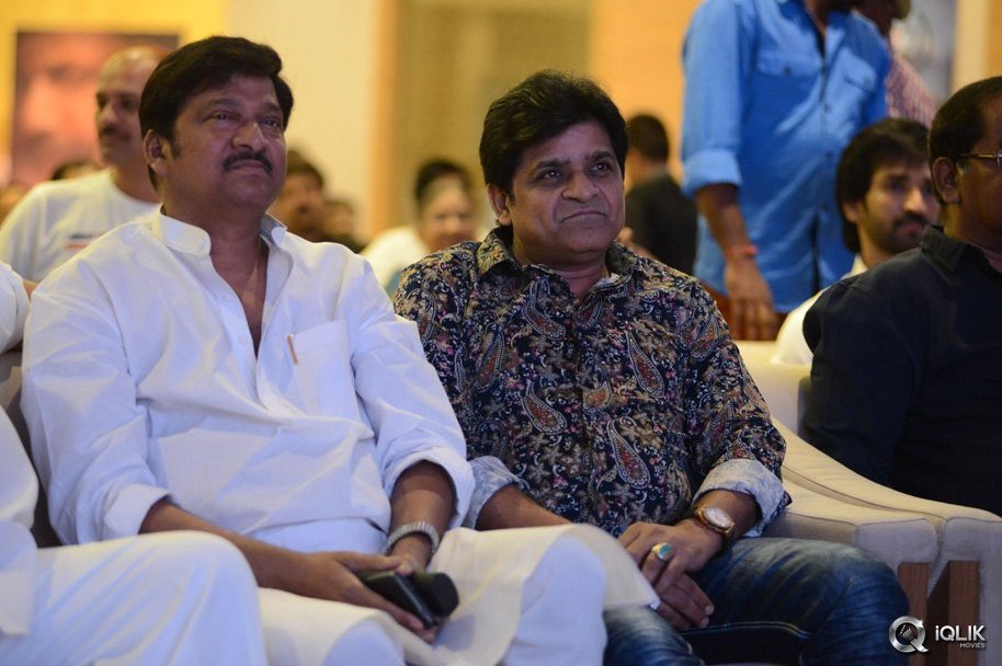 Malupu-Movie-Audio-Launch